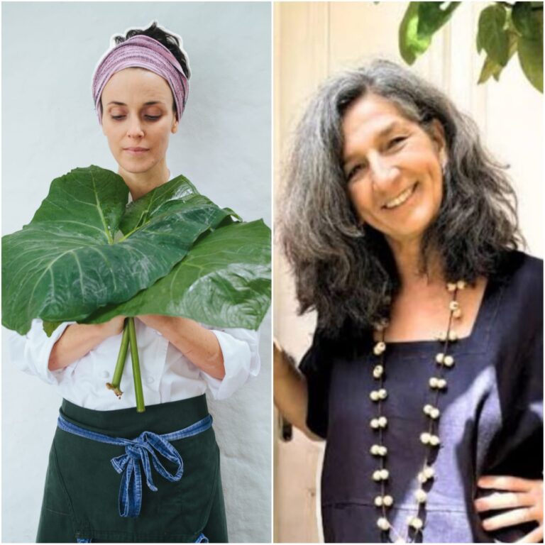 VIDA INTELIGENTE NA COZINHA <br>Um espaço para comer e conversar<br>TEMA: O TEMPO NO CAMPO<BR> E NA COZINHA<br.> COM HELENA RIZZO E NEIDE RIGO</br.>